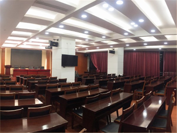 上海惠南区政府视频会议室灯光工程