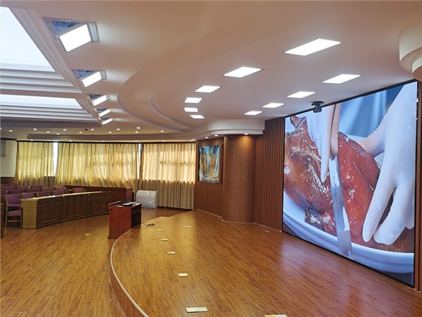 云南省人大会常委会：视频会议室有背景大屏怎么解决灯光问题？