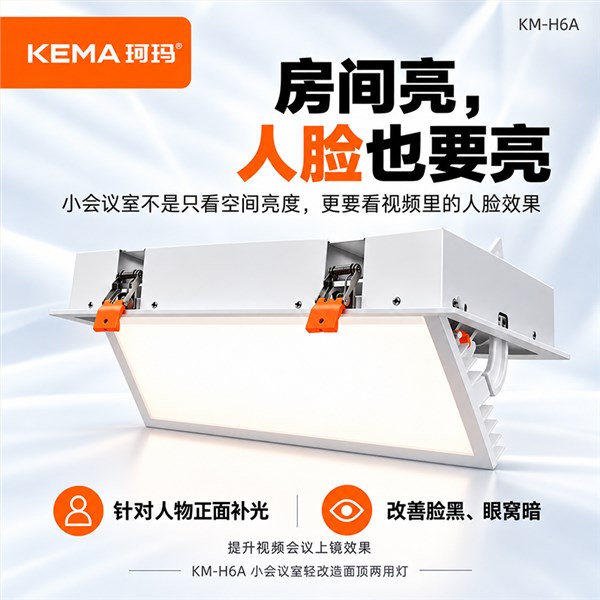 KM-H6A 小会议室轻改造防黑脸面顶两用灯