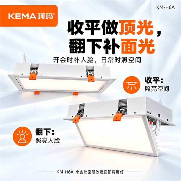 KM-H6A 小会议室轻改造防黑脸面顶两用灯