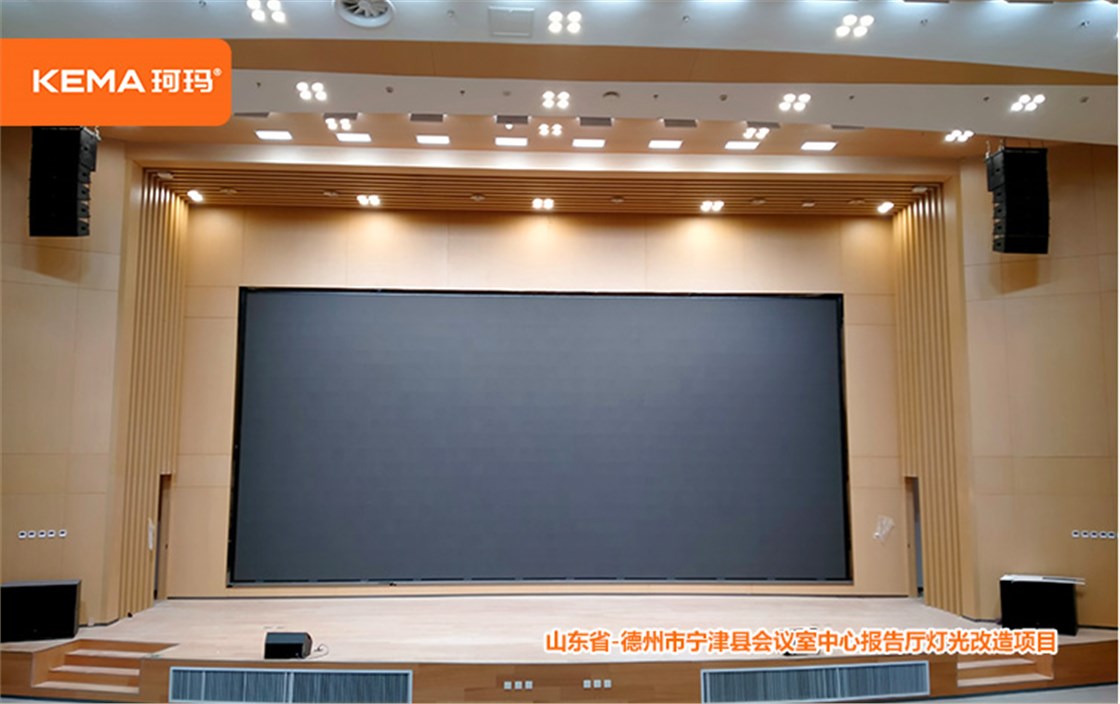 宁晋县会议中心报告厅 (1)