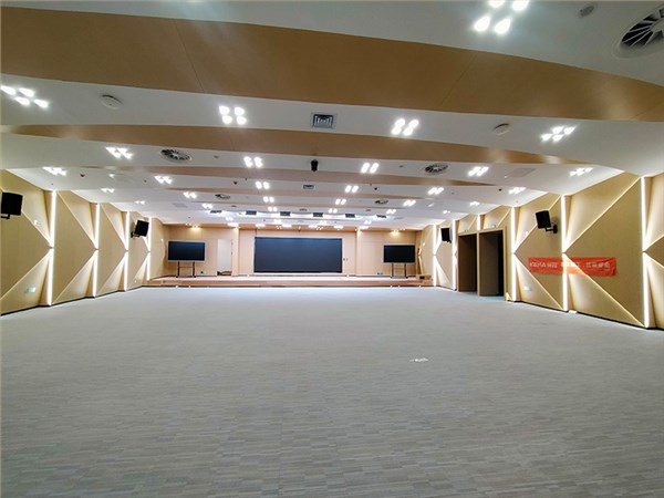 山东德州宁津县会议中心：视频会议室改造用什么灯光，领导脸不黑