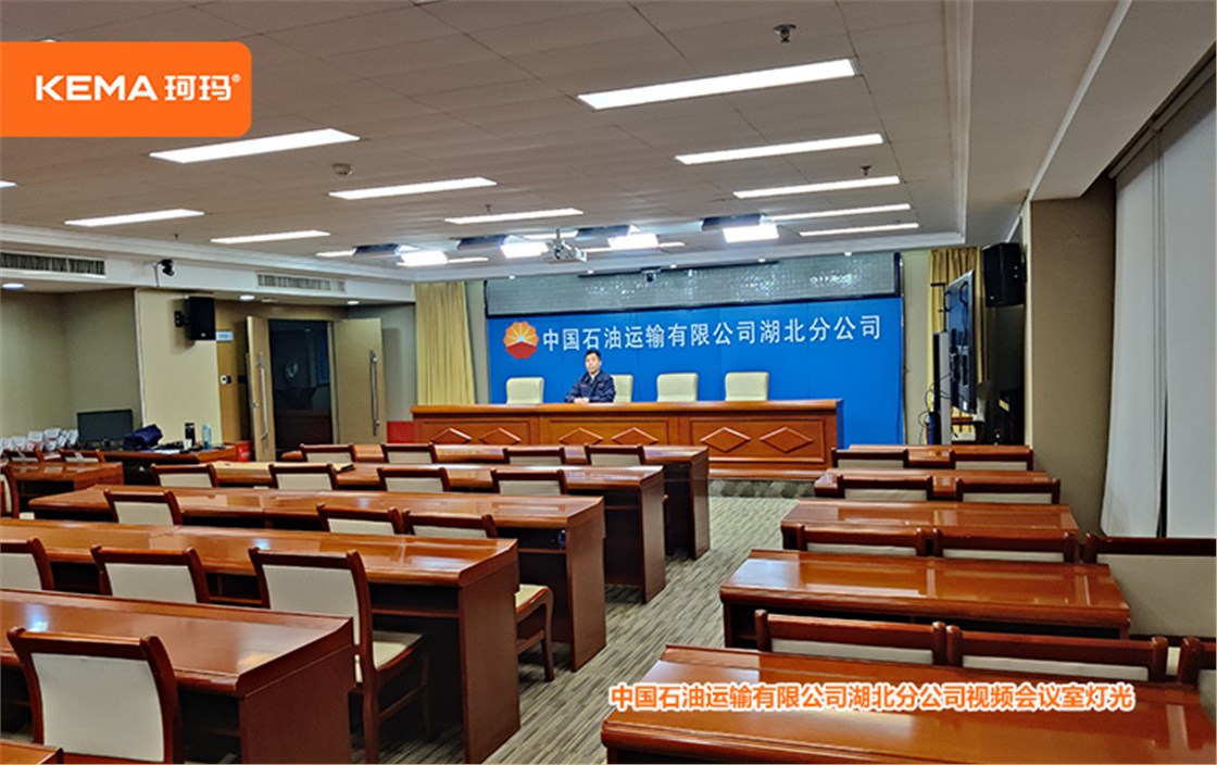 中国石油运输有限公司湖北分公司视频会议室灯光 (9)
