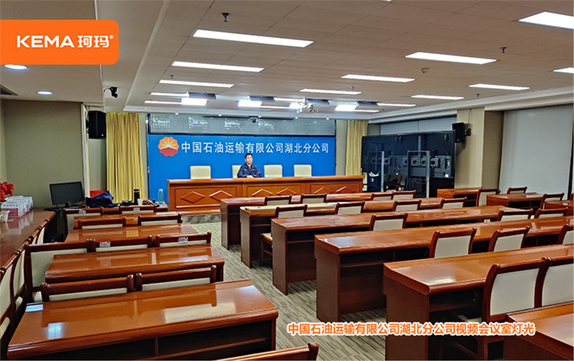 中国石油运输有限公司湖北分公司视频会议室灯光 (10)
