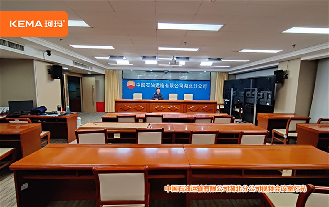 中国石油运输有限公司湖北分公司视频会议室灯光 (11)