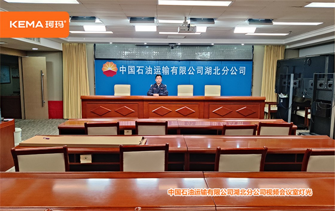 中国石油运输有限公司湖北分公司视频会议室灯光 (12)