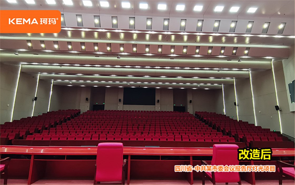 四川市委会议报告厅灯光项目 (3)