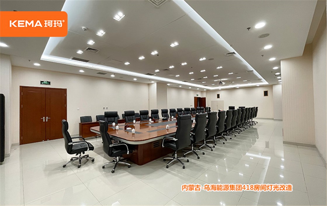 内蒙古乌海会议室灯光改造 (8)