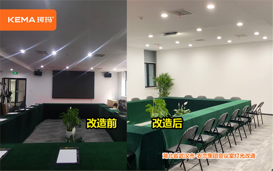 农恋集团会议室灯光改造 (4)