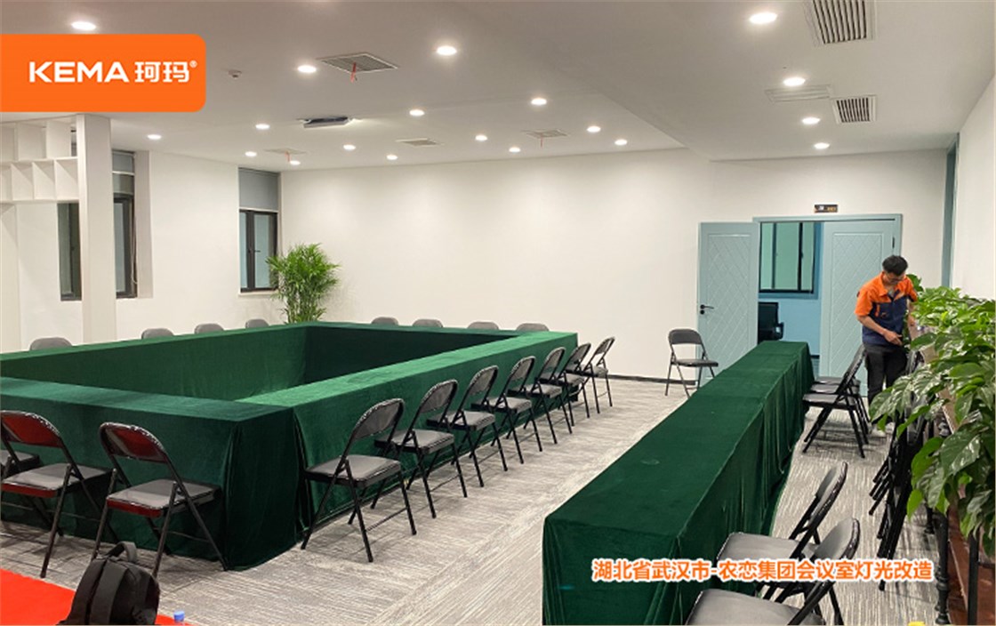 农恋集团会议室灯光改造 (6)