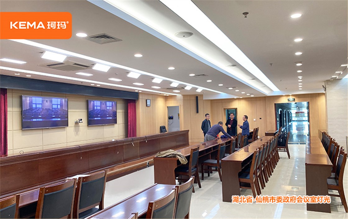 仙桃市委政府会议室灯光改造 (5)