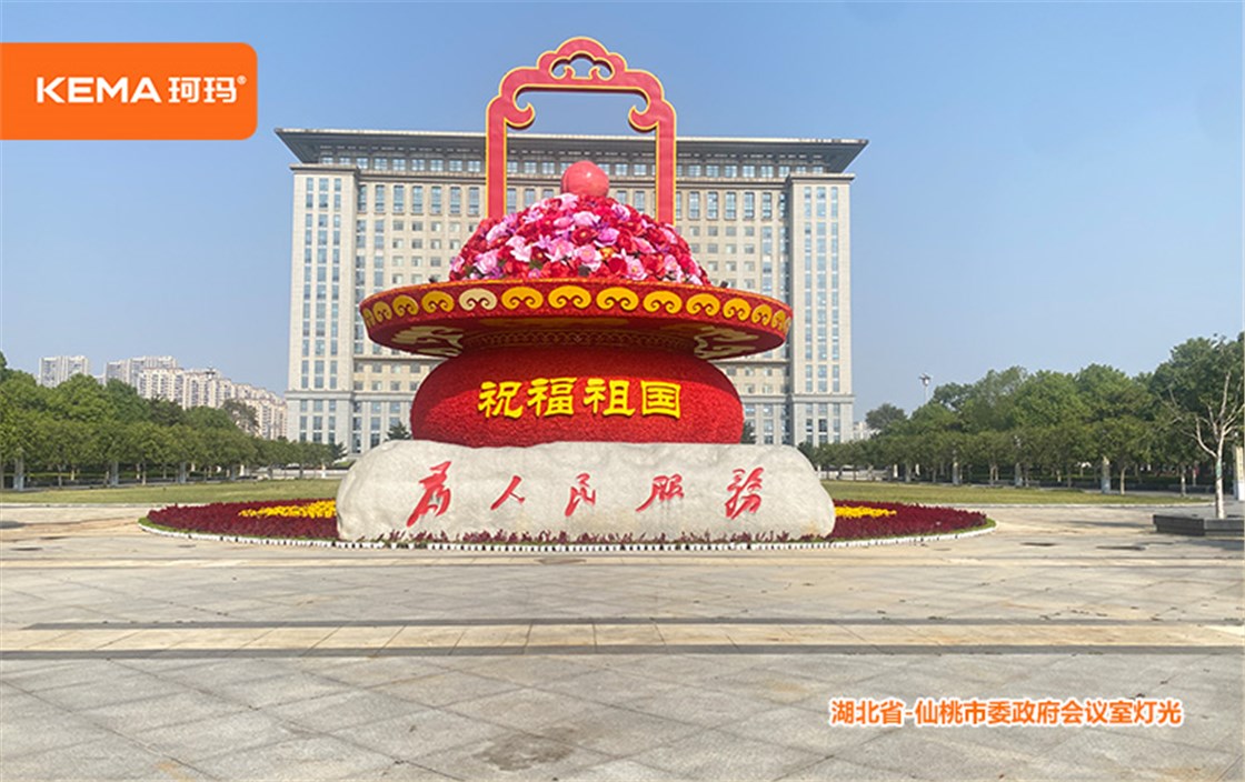 仙桃市委政府会议室灯光改造 (6)