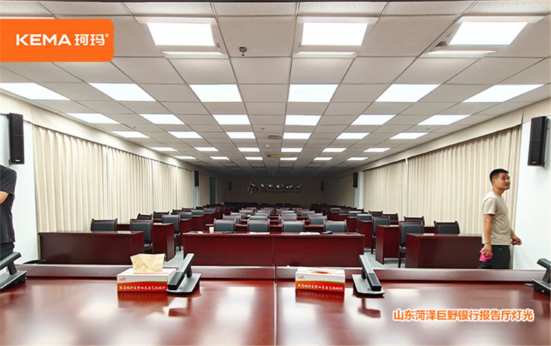 山东菏泽巨野银行会议室灯光4
