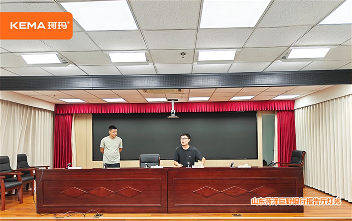山东菏泽巨野银行会议室灯光6