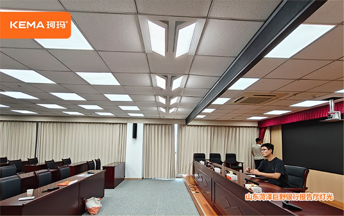山东菏泽巨野银行会议室灯光8
