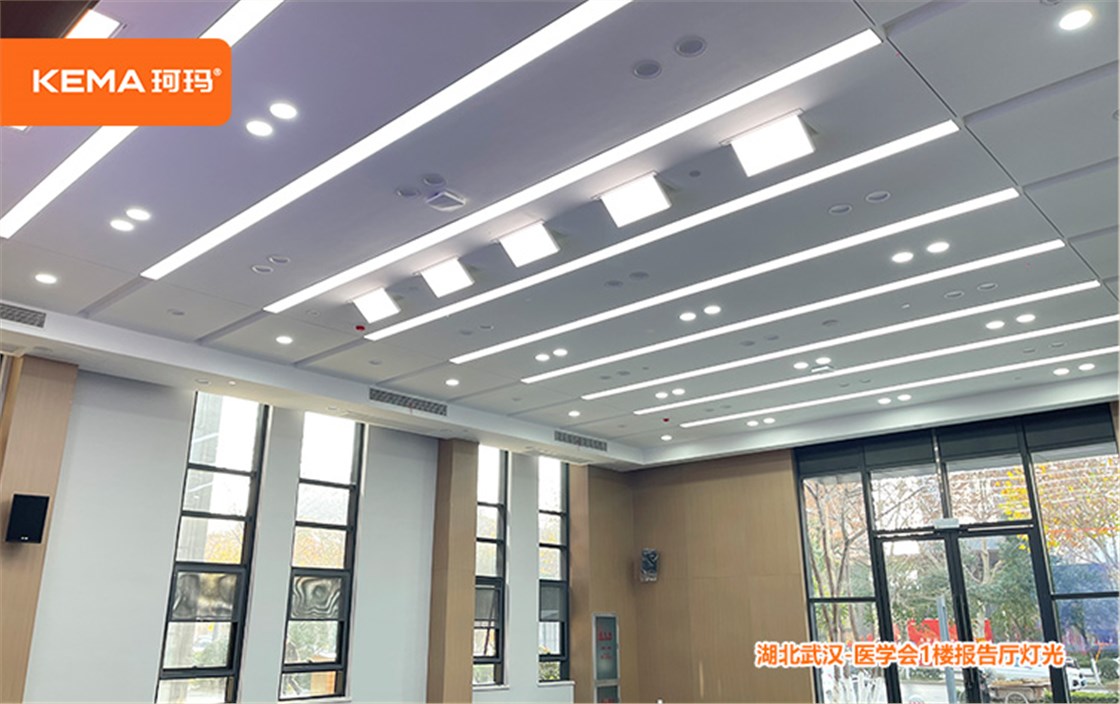 湖北医学会 (2)