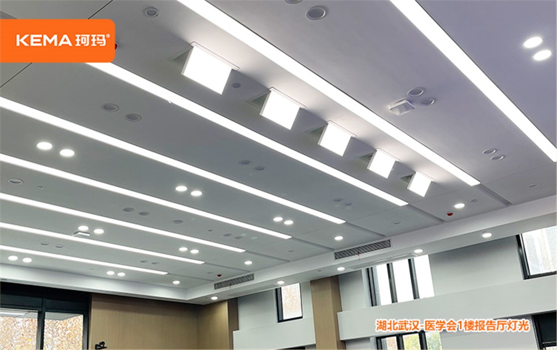 湖北医学会 (4)