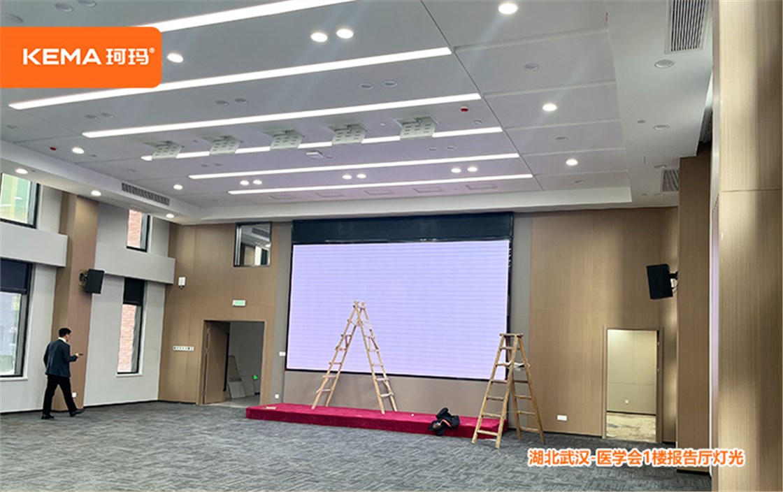 湖北医学会 (6)