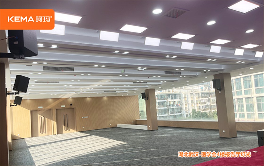 湖北医学会3