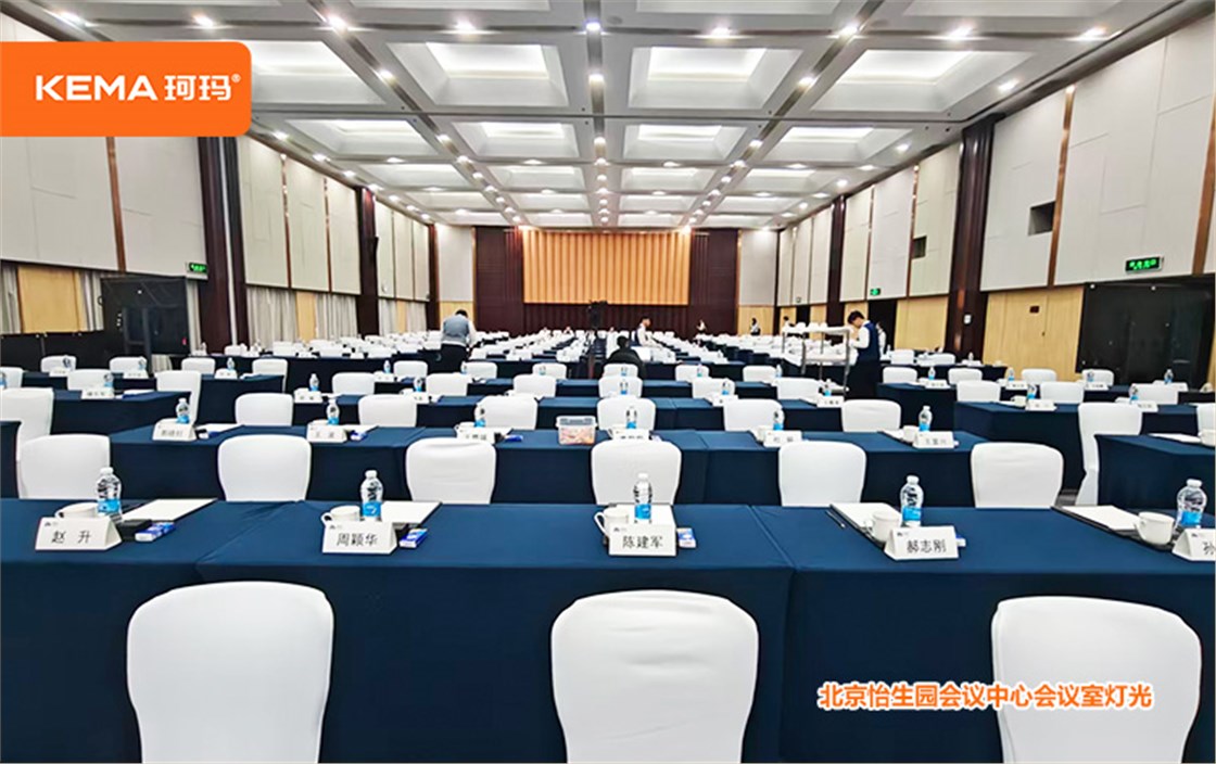 北京怡生园会议中心会议室灯光改造4