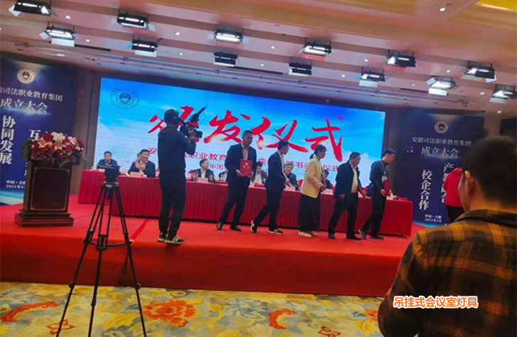 吊挂式会议室灯具