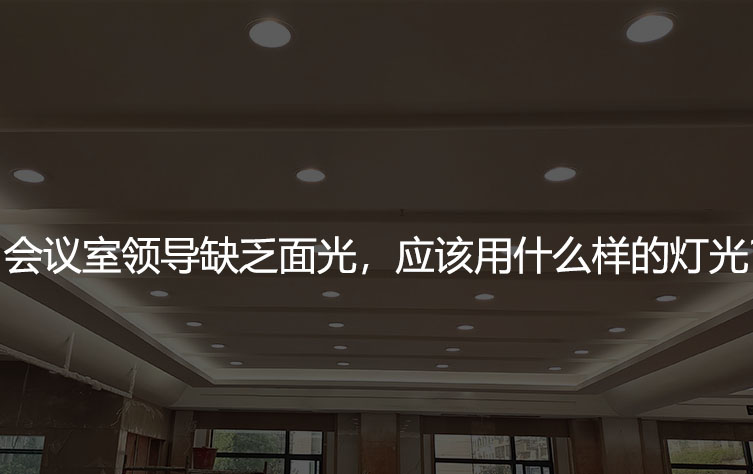 会议室领导缺乏面光，应该用什么样的灯光？