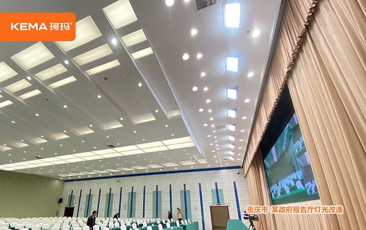 重庆市某政府视频会议室灯光 (8)
