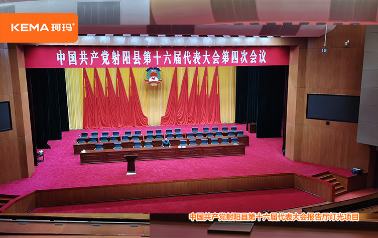 江苏省射阳县政府报告厅灯光改造 (10)