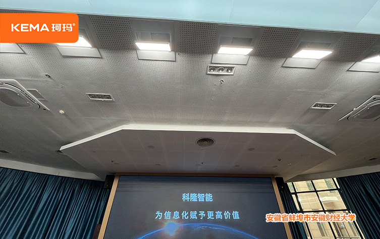 报告厅灯光 (1)