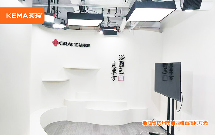 案例模板3