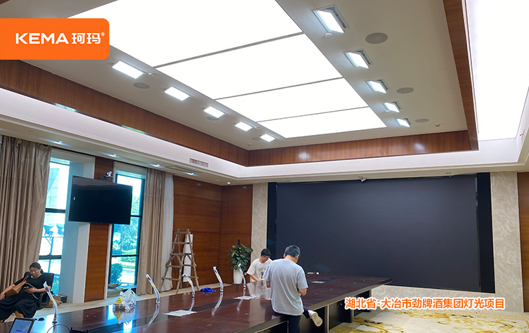 湖北大冶劲牌集团8