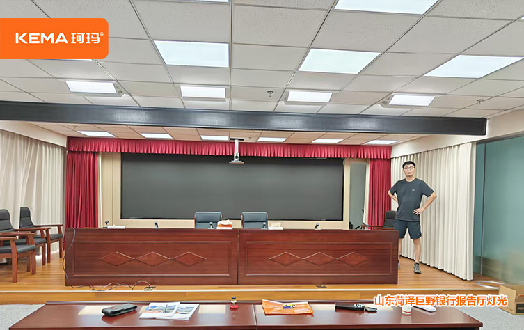 山东菏泽巨野银行会议室灯光10
