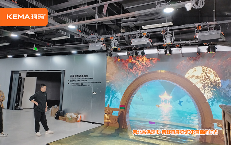 河北省保定市博野XR直播间