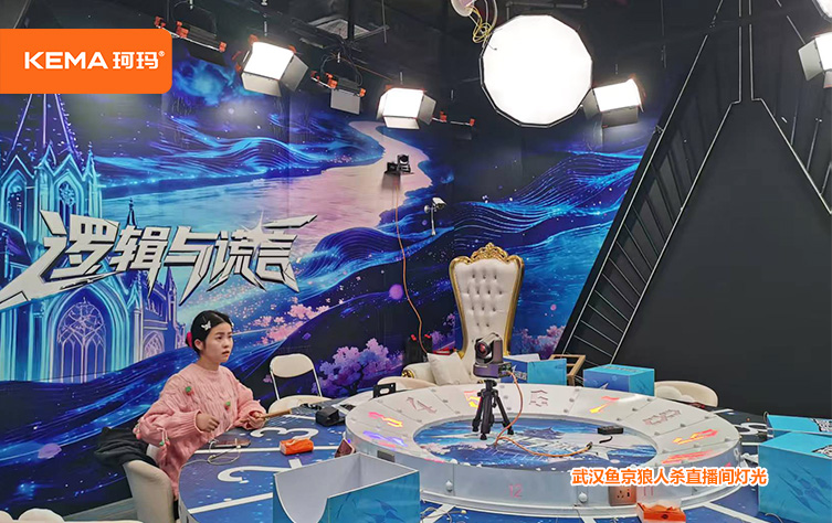 武汉鱼京狼人杀直播间5