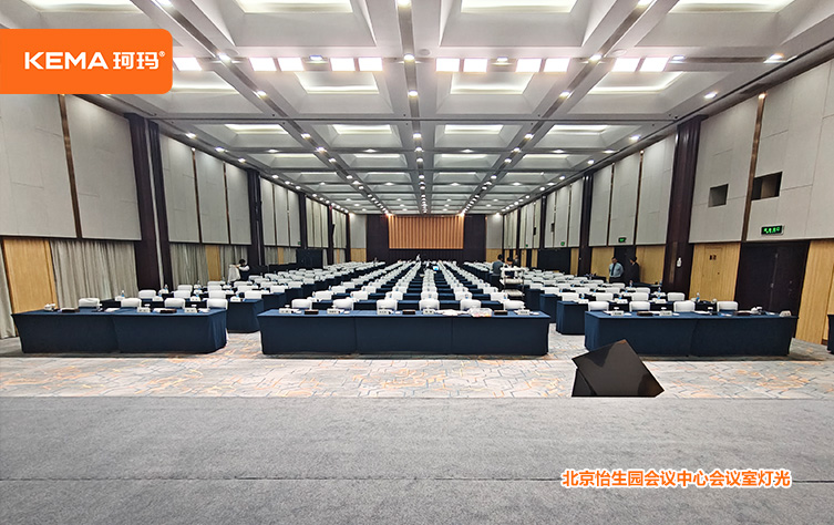 北京怡生园会议中心会议室灯光改造3