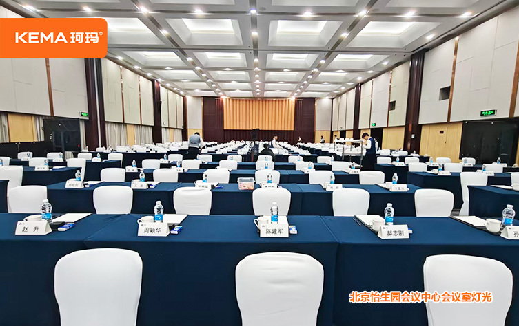 北京怡生园会议中心会议室灯光改造4