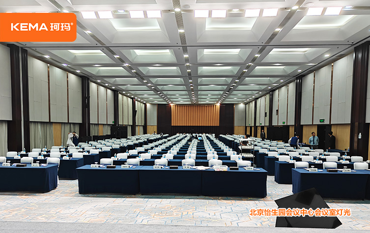 北京怡生园会议中心会议室灯光改造5